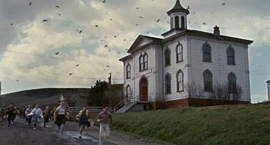 Les Oiseaux Les Oiseaux, d'Alfred Hitchcock