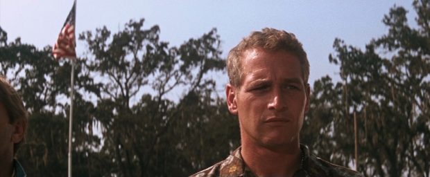 Paul Newman dans "Luke la main froide"