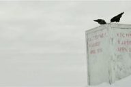 The Last Winter