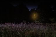 Comédie érotique d&rsquo;une nuit d&rsquo;été