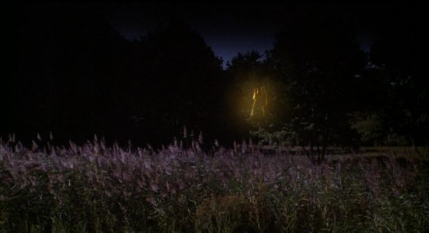 Comédie érotique d'une nuit d'été