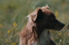 Format Court 2025 : compétitions 2, 3 et 4